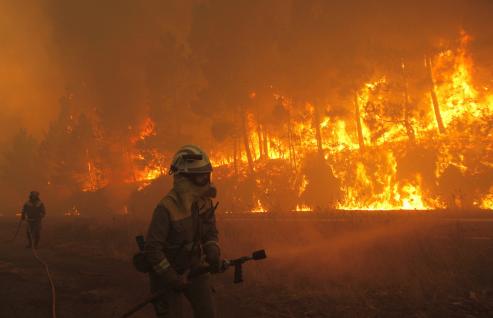 Orense se llevó la peor parte, con más de 22.000 hectáreas quemadas, seguida de Pontevedra con 20.085 y Lugo con 5,735.