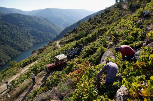 Las tierras que dan nombre a la célebre feria vinícola de Sober se distinguen por su espectacular riqueza paisajística.