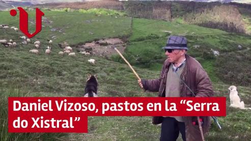 Daniel Vizoso es uno de los pocos gallegos que todavía lleva a diario a su rebaño al monte y cuida de él mientras pace.