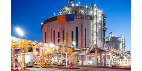 La empresa ha prestado servicios para el arranque u operación de infraestructuras de 14 países. La compañía de capital privado y público opera la planta de gas gallega y la de Delimara, situada en Malta.