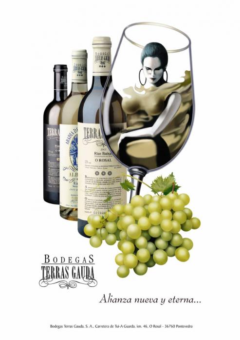 Terras Gauda, el vino Albariño de la comarca del Rosal