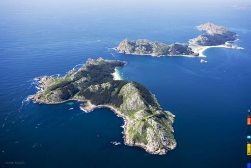 Las Islas Cíes es un paraiso de la naturaleza, la Playa de Rodas, un mundo submarino entre pulpos, calamares, sargos, etc.