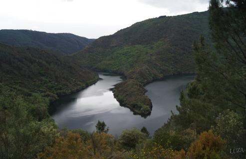 La superficie de vid en Galicia –apenas 9.260 hectáreas - representa solamente el 1%  de los viñedos de España, concretamente un 0,95 por ciento.