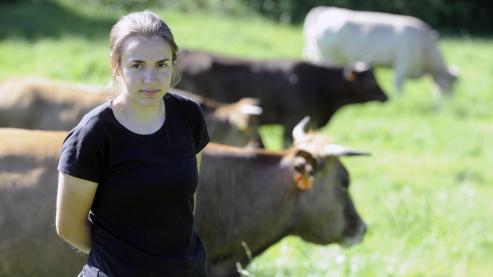 Las vacas vianesas están presentes en un municipio lucense como Baleira, donde se adaptan al terreno.