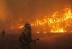 En el verano de 2006, en dos semanas, a lo largo de la autopista del Atlántico entre Pontevedra y Santiago, ardieron más de 70.000 hectáreas (una superficie equivalente al 25 % de las hectáreas quemadas durante los 17 años anteriores).