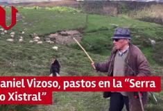 Daniel Vizoso es uno de los pocos gallegos que todavía lleva a diario a su rebaño al monte y cuida de él mientras pace.