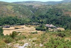 El abandono rural arrasa Galicia y las cifras de los útlimos 30 años son alarmantes: una de cada tres tierras dedicadas a labradíos y pastos han desparecido.