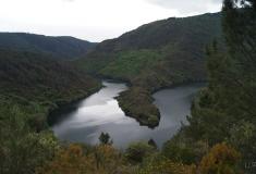 La superficie de vid en Galicia –apenas 9.260 hectáreas - representa solamente el 1%  de los viñedos de España, concretamente un 0,95 por ciento.