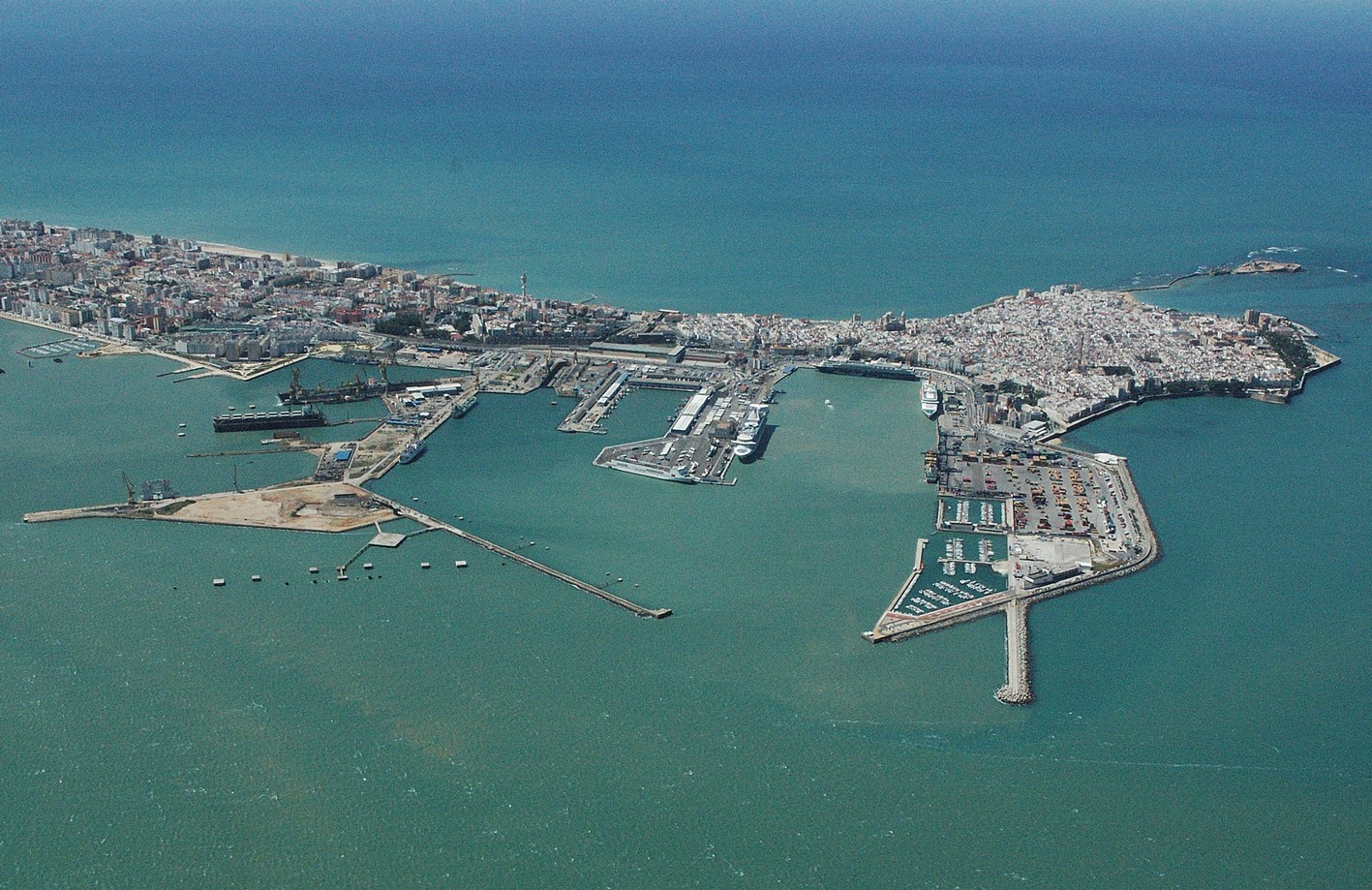 Análisis: la Alondra Ricotí, al Borde del Abismo