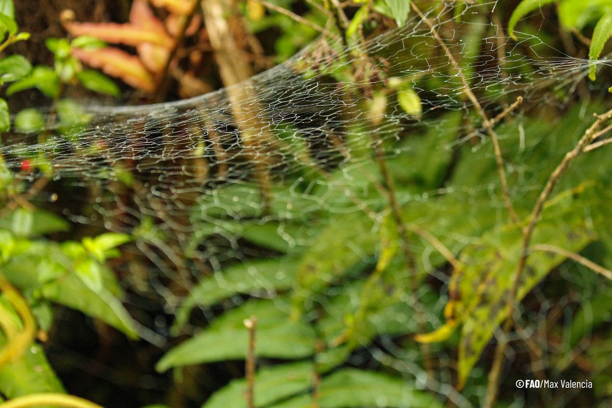 Sánchez arranca el curso con más agenda social y un intento de reaparición internacional a través de la causa palestina