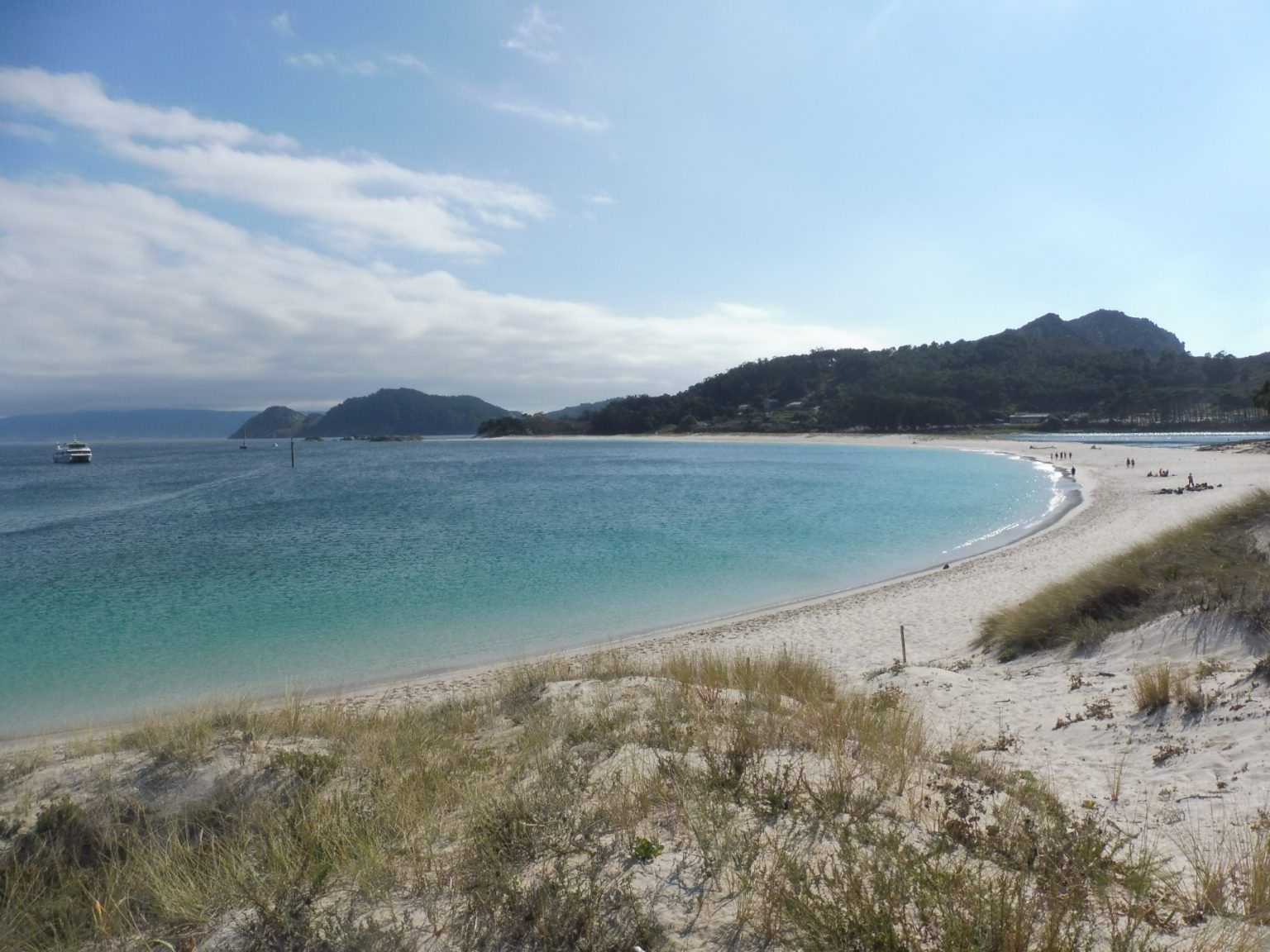 En desarrollo: las Gaviotas Desaparecen de las Islas Cíes