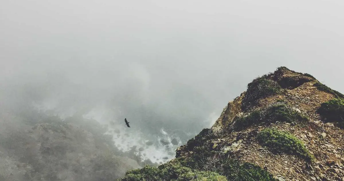 Actualidade: as Vantaxes de Emprender coa Franquía Número 1 do Mundo