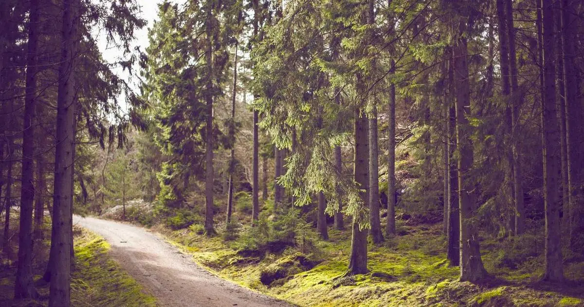 Prensalink celebra os seus dez anos «impulsando a visibilidade de milleiros de empresas en todo o mundo»