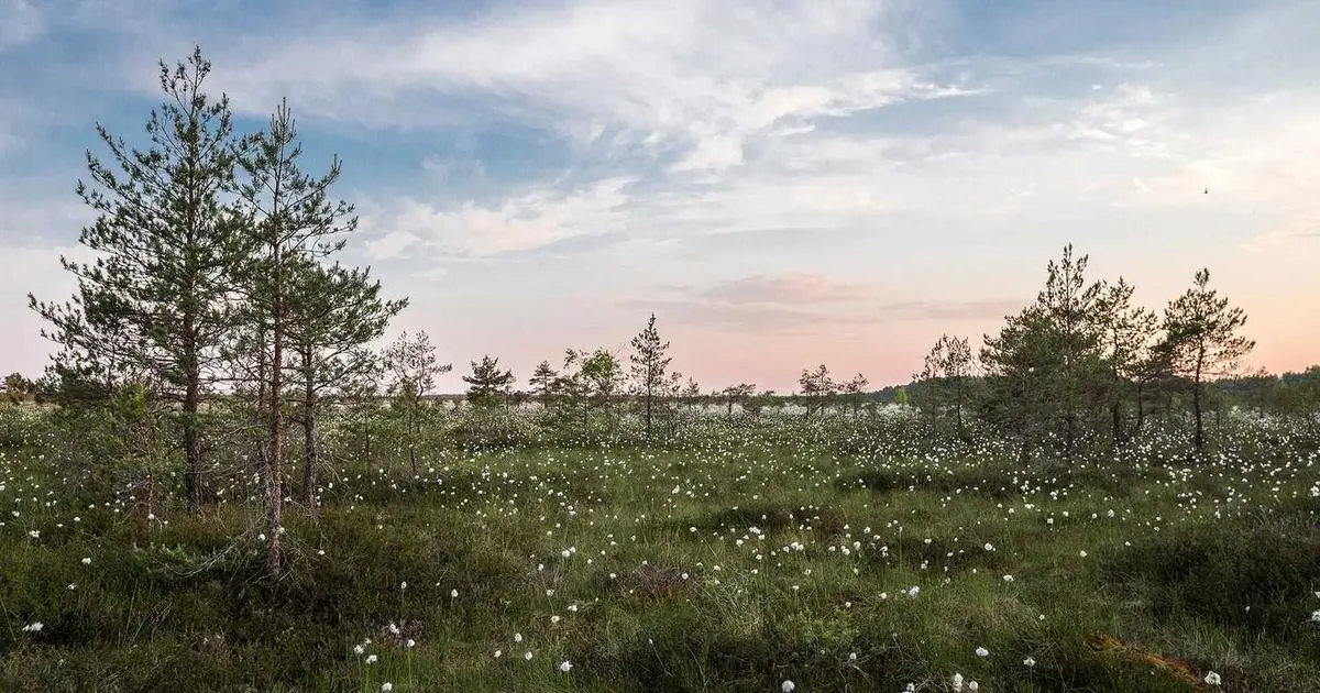 En Madrid créase unha de cada cinco empresas novas do país: 77 ao día