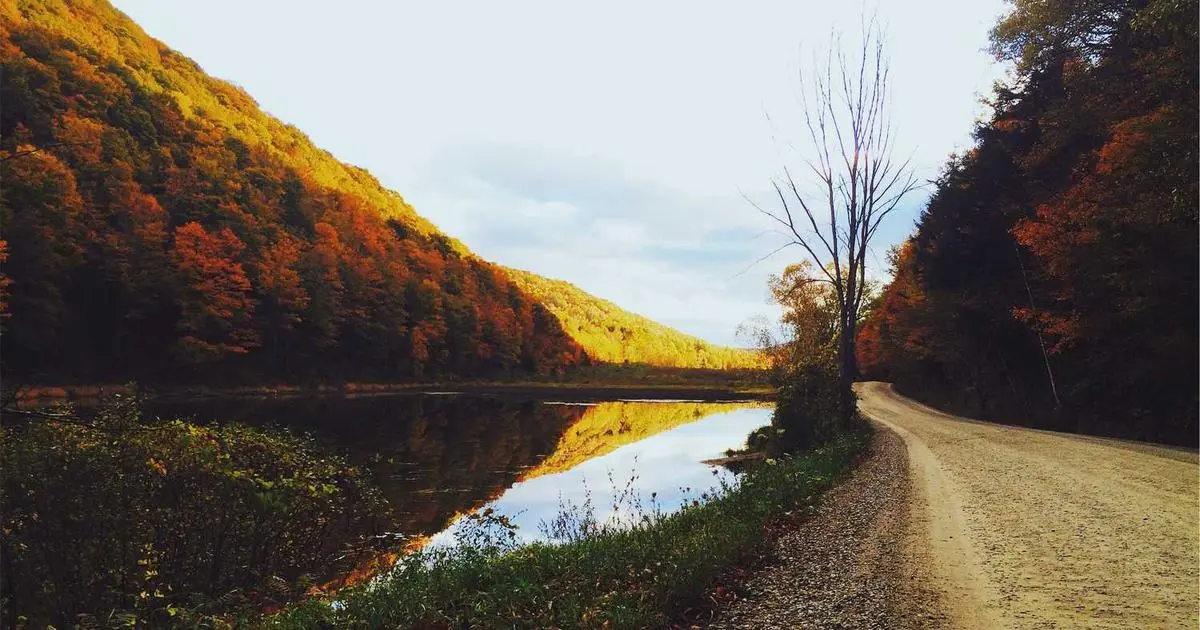 Os caixeiros nas vilas da Comunidade de Madrid serán 'multimarca' e non cobrarán comisións