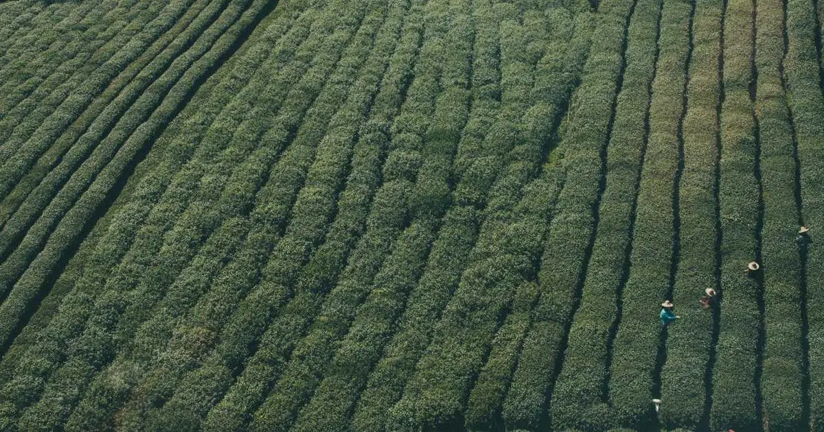 Mercedes-Benz Clase E: un familiar ao que aspirar