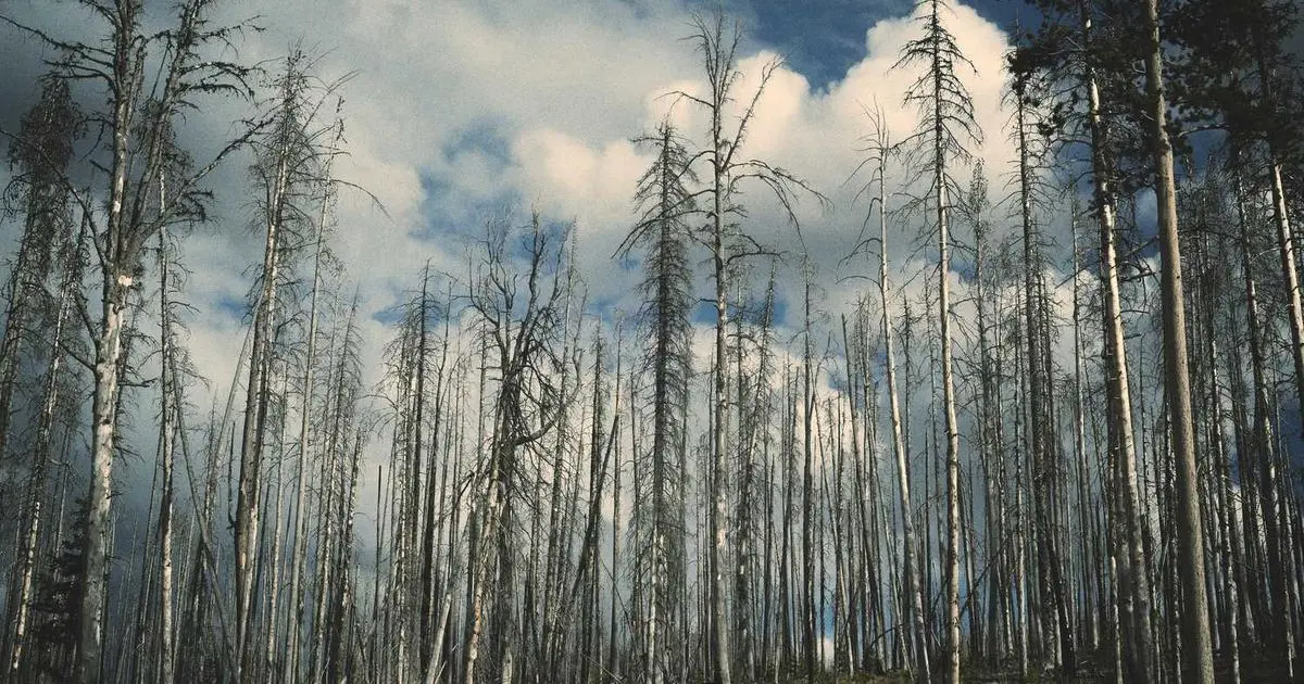 Análise: Michelin Reduce as Súas Previsións Ante a Caída das Vendas en 2025