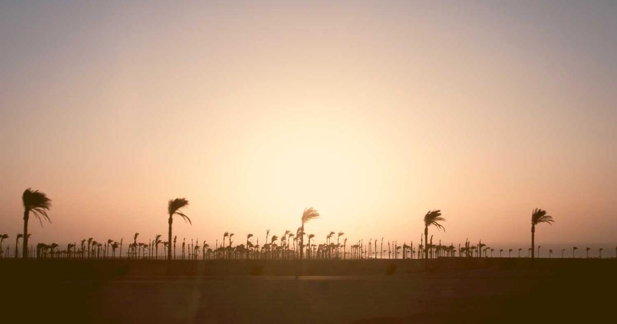 Actualidad: la Llegada de Inmigrantes  a Canarias ha Descendido un 59,9%