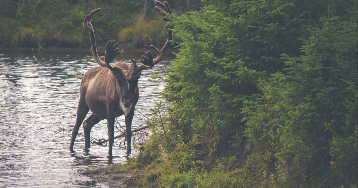 Actualidad: Chivite Prepara Cambios en el Gobierno Navarro con las Salidas de su Vicepresidente y Consejera de Interior