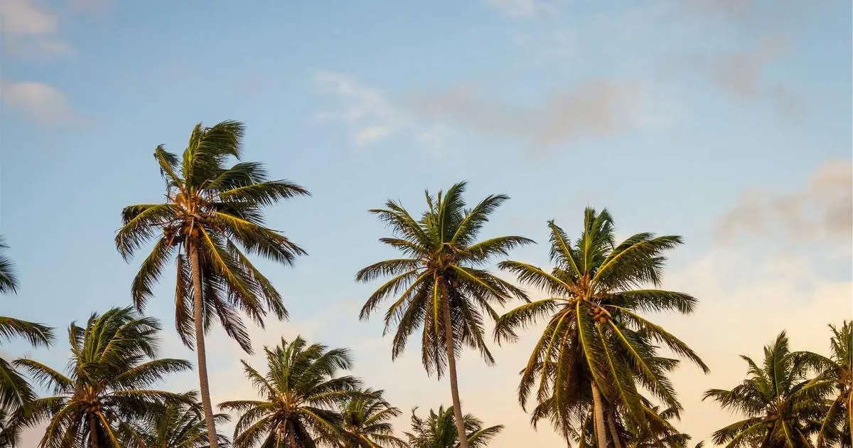 Análise: Advirten do Aumento dos Cancros do Sangue en España