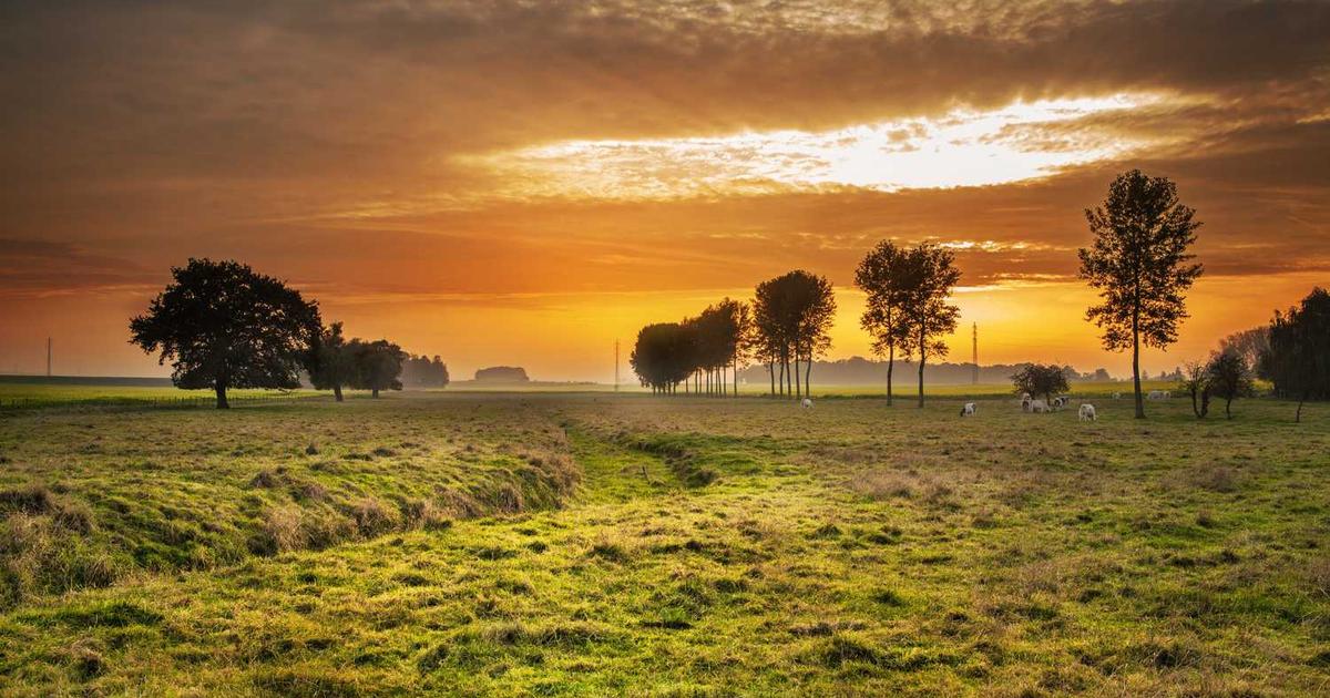 Actualidad: ¡qué Más Dará el Tiempo si Morante lo Para al Natural!