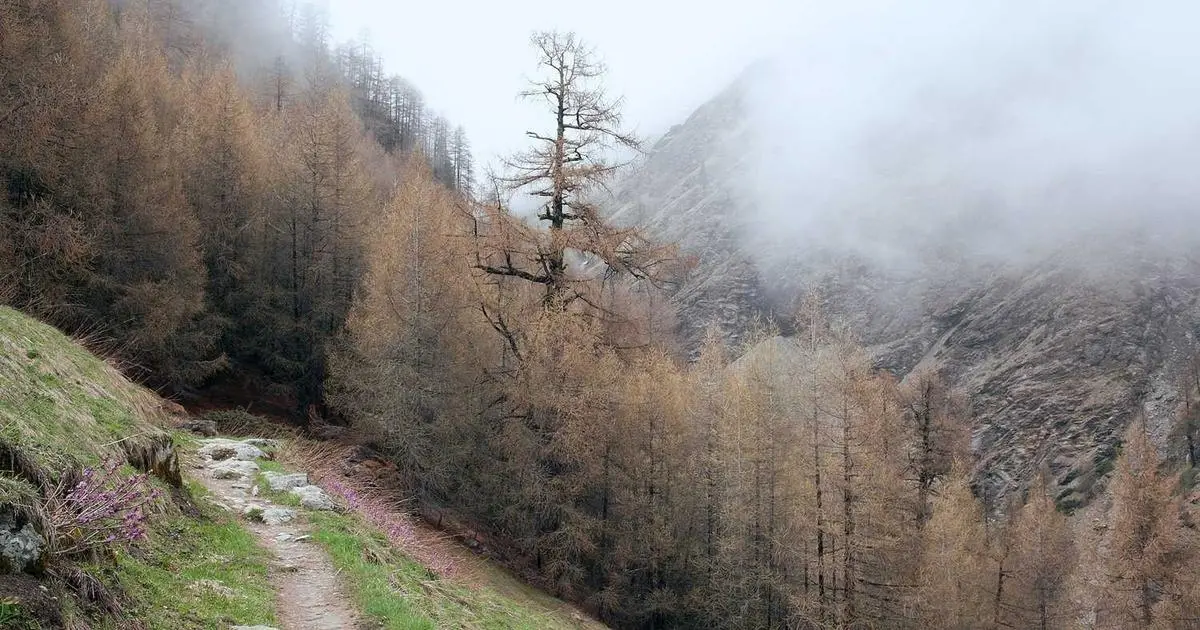 Actualidade: Estes son os Impostos que se Pagan por Mercar unha Vivenda en España: Europa Quere que se Supriman