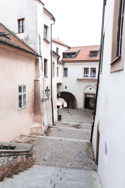 Última hora: Damas y Sánchez Jover se Acercan al Cuadro Principal de la Copa Faulcombridge 2025