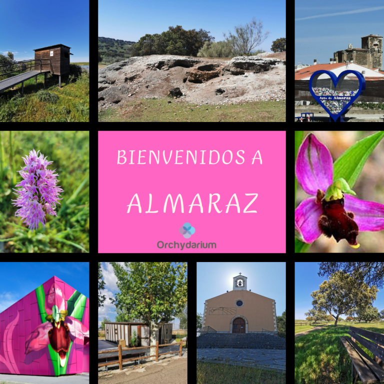 Actualidad: Alianza por Almaraz: la Sociedad Civil Irrumpe