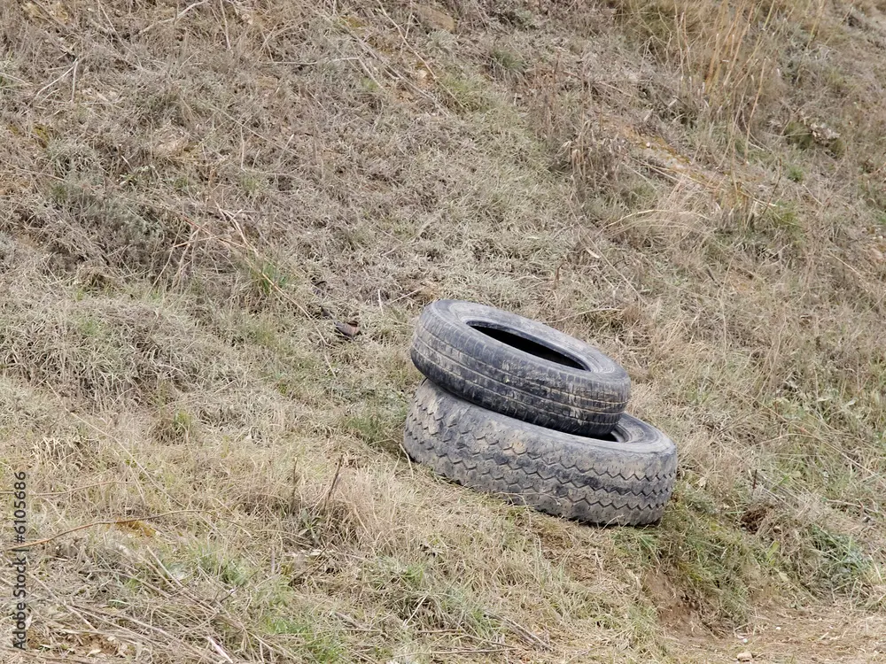 Actualidade: Ecoloxistas en Acción denuncia a instalación dunha vía ferrata ilegal e tirolinas nun espazo protexido na zona do río Pusa (Toledo)
