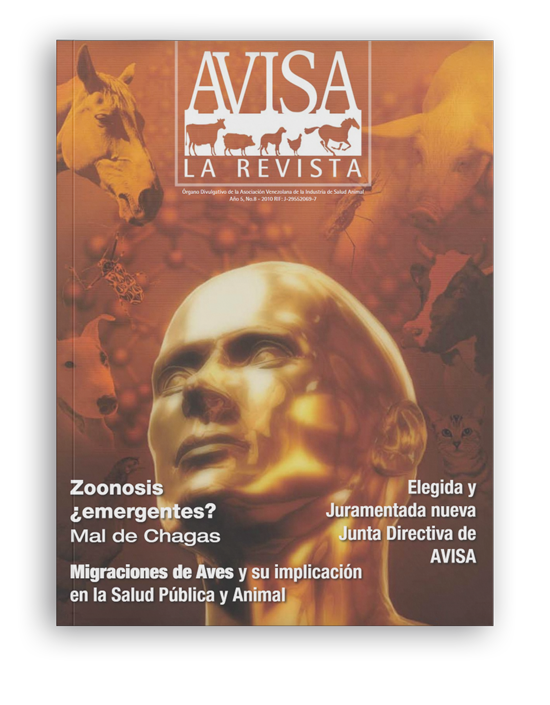 Actualidad: un Doctor Avisa a los que Usan el Cojín en el Avión: «no es Postureo, es Anatomía»