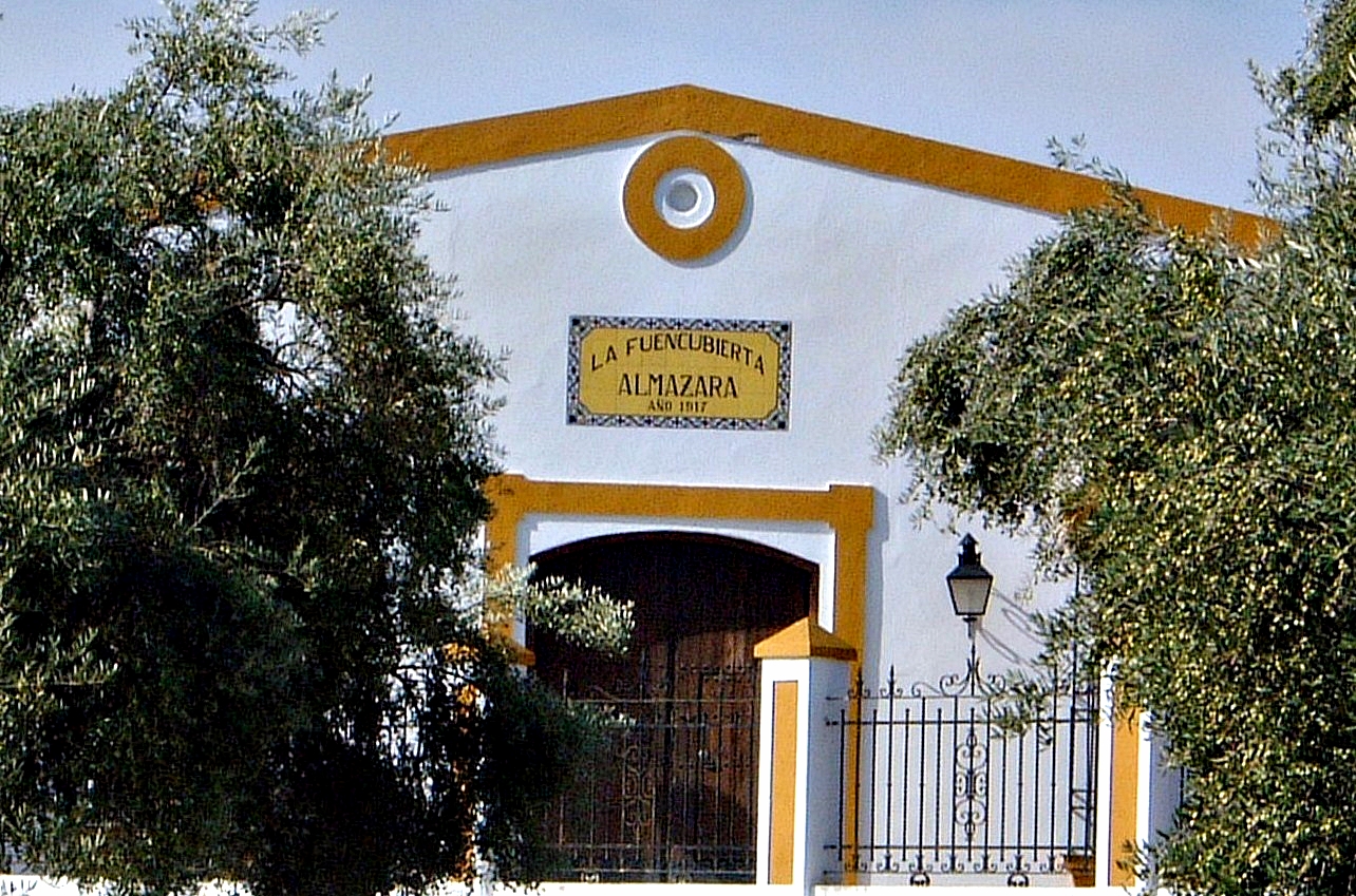 el Dueño de una Almazara Explica Qué va a Pasar con el Precio del Aceite en Noviembre y Navidad: «no Esperamos Que…»