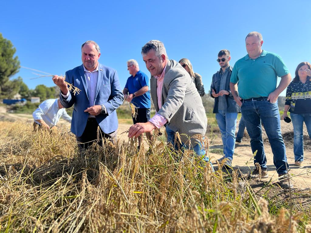 Martínez Lizán Destaca la Década de Avances y de Apoyo Constante al Sector Agrario de Castilla-la Mancha