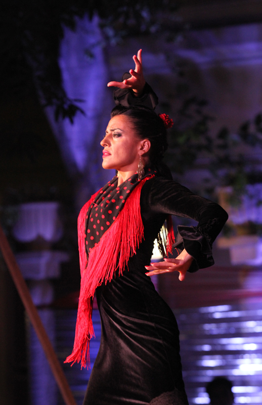 En desenvolvemento: Encontro cun Clásico do Flamenco Vanguardista