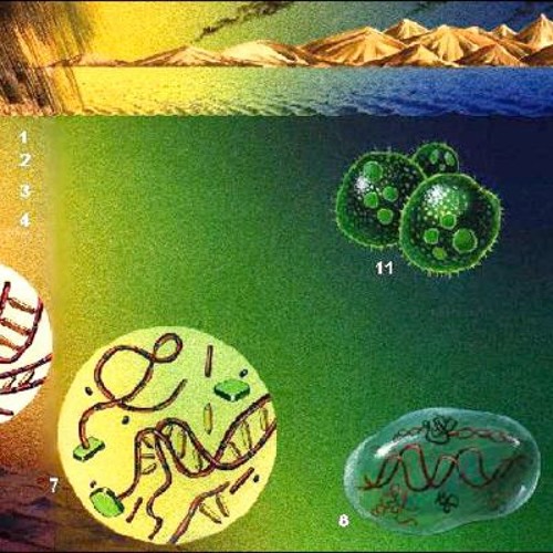 Captan, por Primera Vez, el ‘eco Químico’ de la Vida de Hace 3.300 Millones de Años