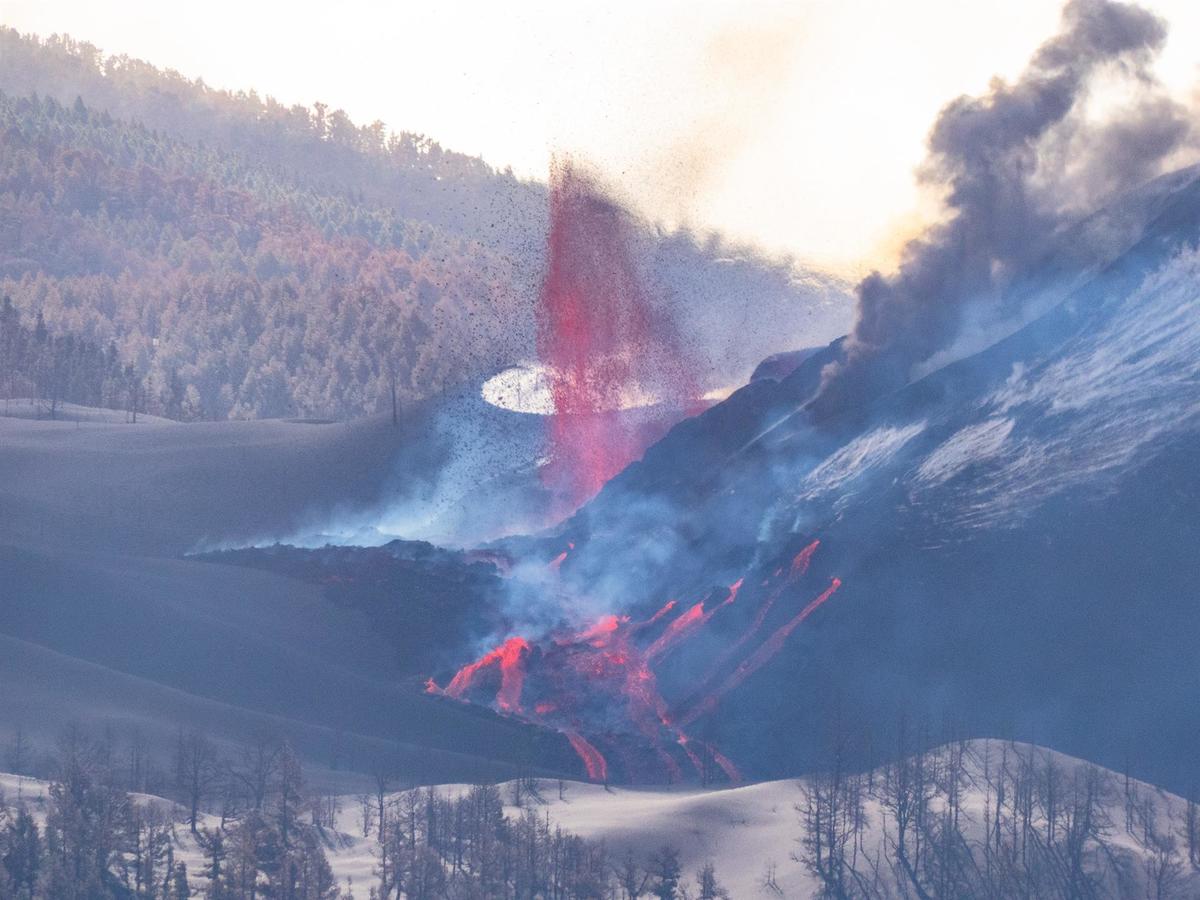 En desarrollo: el Volcán de la Palma Muestra «insólitos Patrones»  Para Recuperar sus Comunidades de Peces en las Coladas