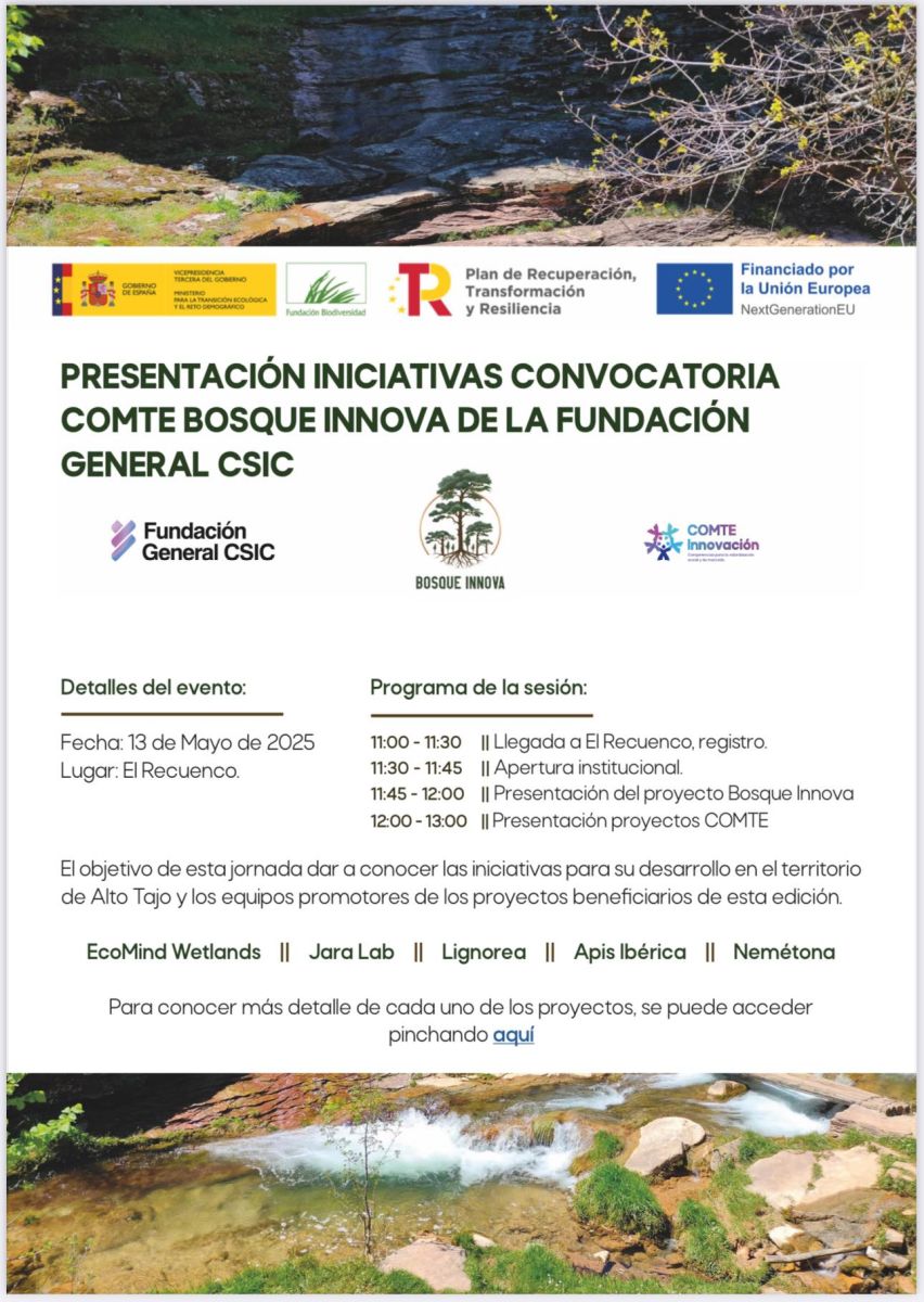 Análisis: luz del Tajo Acoge la Presentación de ‘mi Viento Interior’, el Cuento Solidario Ilustrado por la Toledana Tania Izquierdo