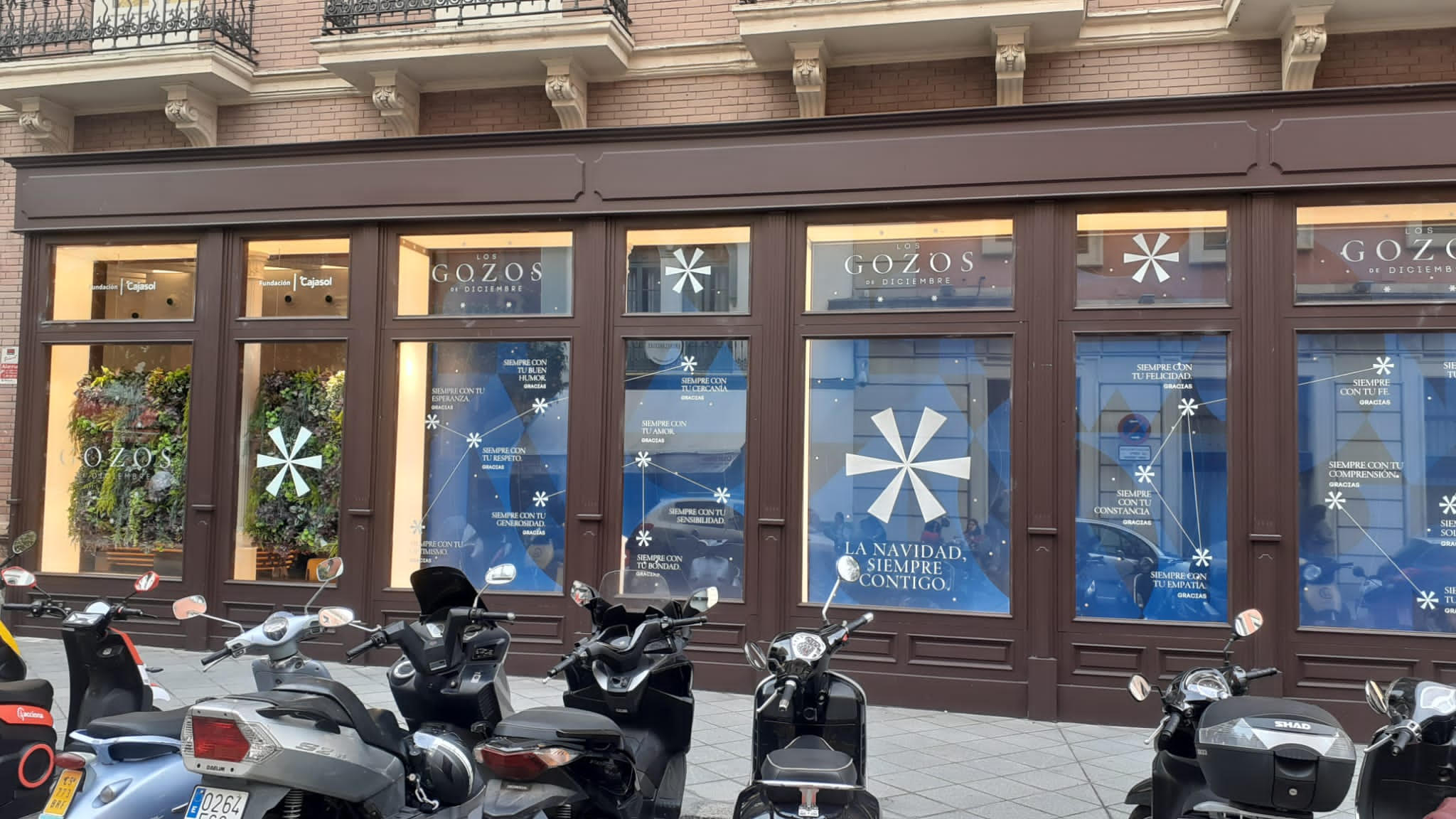 un Serio Cajasol Ángel Ximénez Puente Genil Cede Ante el Empuje Final del Torrelavega (32-27)