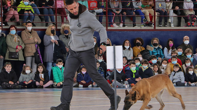 En desarrollo: Almodóvar del Campo Amplía el Museo Palmero con un Centro Cervantino