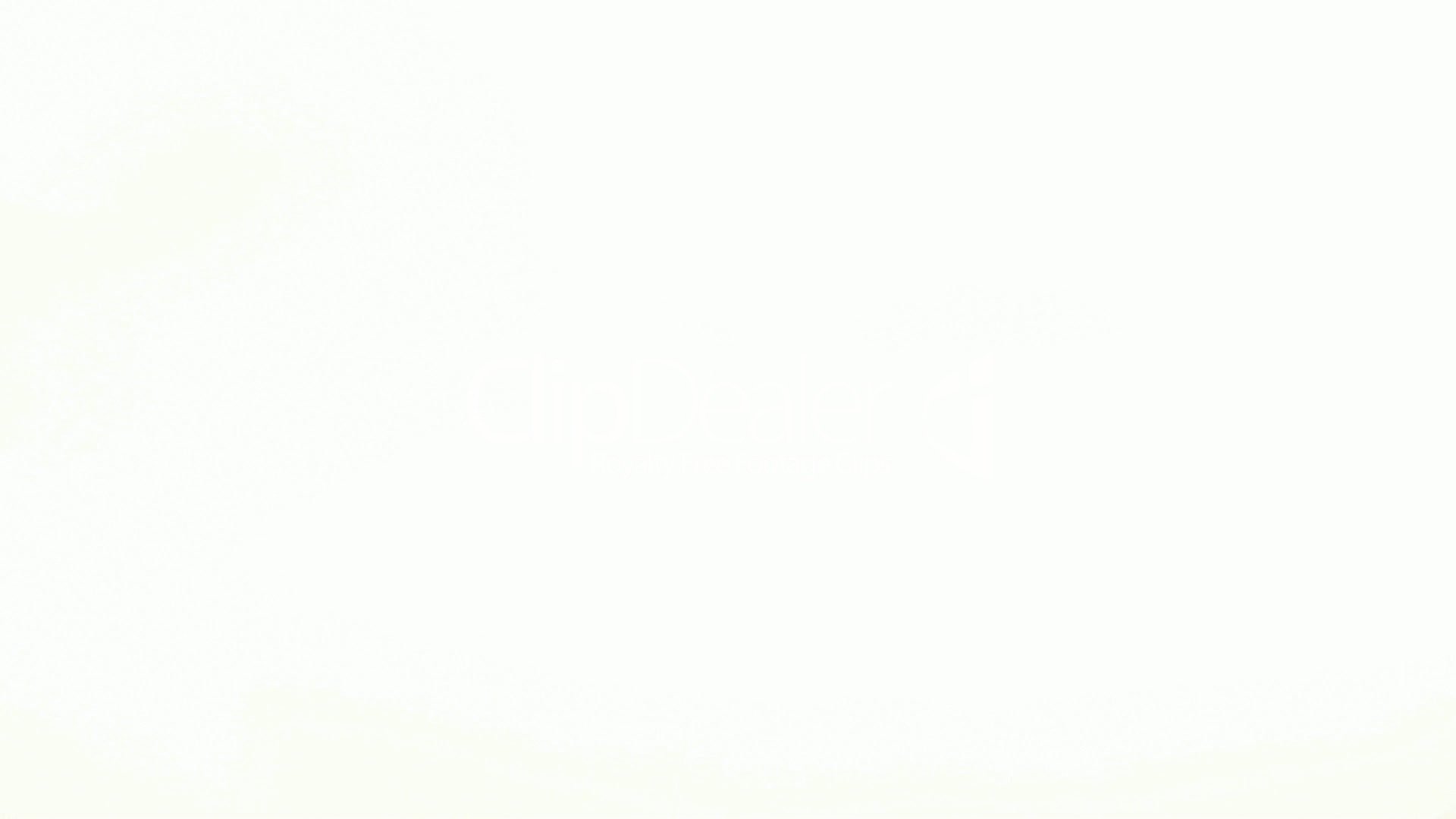 Blanc, un Oasis de Lujo Para Menús de Mediodía en el Corazón del Paseo de Gracia