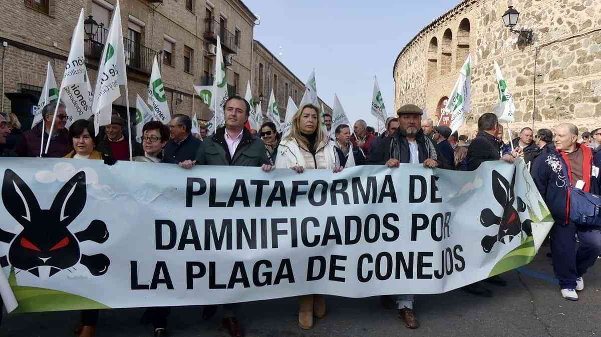 el pp de Toledo Moviliza a sus Bases Para la Protesta de Este Domingo Contra  el Gobierno de Sánchez