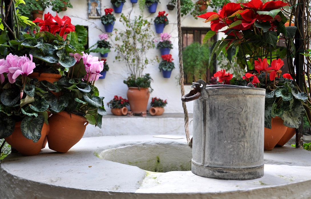 Última hora: los Patios en Navidad en Córdoba Regresan con 40 Recintos Abiertos Todos los Fines de Semana de Diciembre