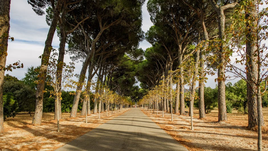 Análisis: la Comunidad de Regantes del Páramo Bajo se Atrinchera en la Sede de la chd y la Acusa de «romper su Compromiso»