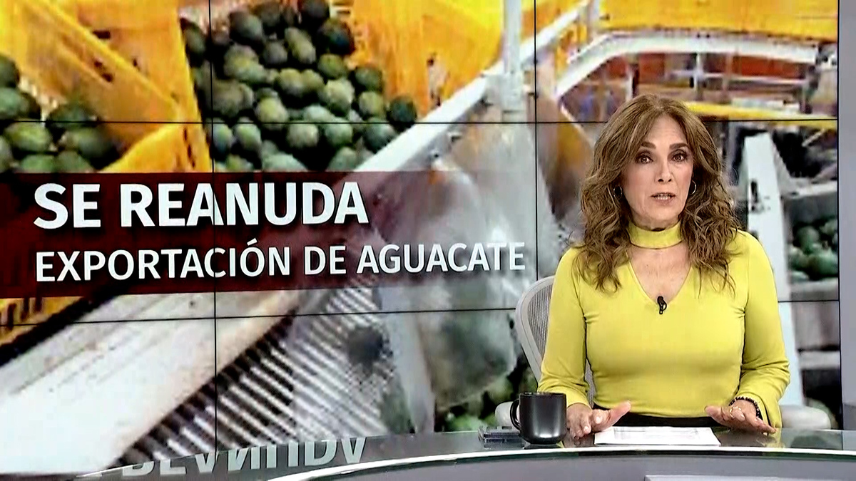 Análisis: Siguen al Alza los Visitantes de los Museos Autonómicos y Algunos Llegan a Cifras Récord