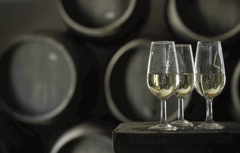 En desarrollo: la Ruta del Mosto en el Aljarafe: Diez Bares Donde Disfrutarla