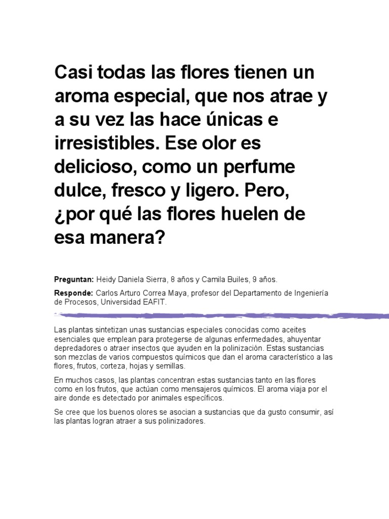 Análisis: Entre Flores y el Recuerdo de su Sonrisa, un Responso íntimo Arropa a la Reina Sofía en la Despedida a la Princesa Irene