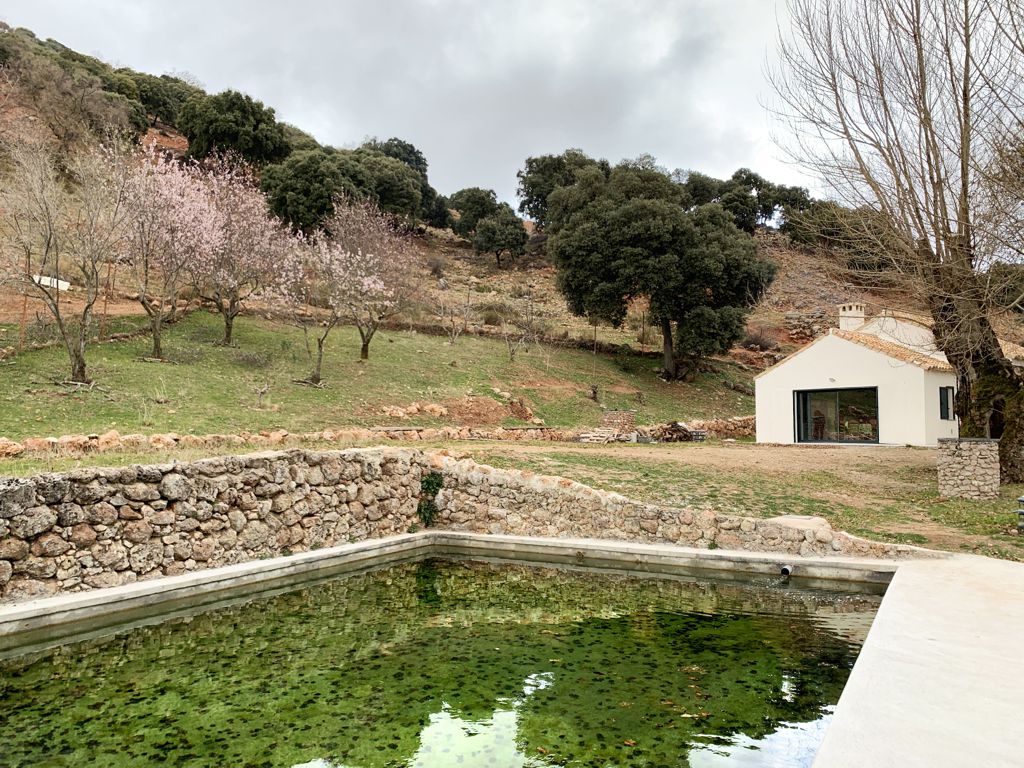 el Cortijo de los Gitanos en Jaén, una Historia de Dolor y de Fenómenos Extraños