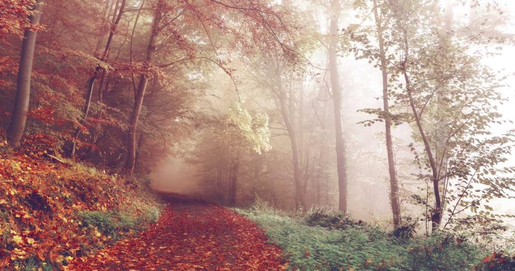 bill clinton declara