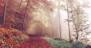 bill clinton declara