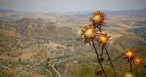 Deporte Local Lugo yago iglesias