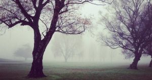 puede aguantar campa